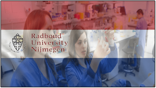 Postdoctoral Researcher Job in Netherland Apply Online